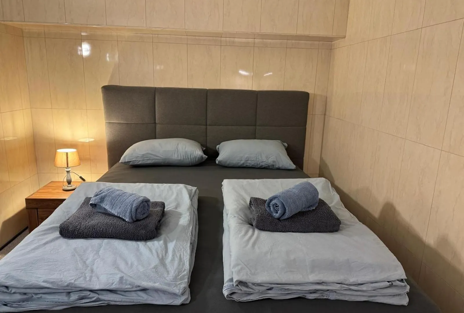 Vila Majda Elegant Apartments With Prime Location And Parking Ljubljana
